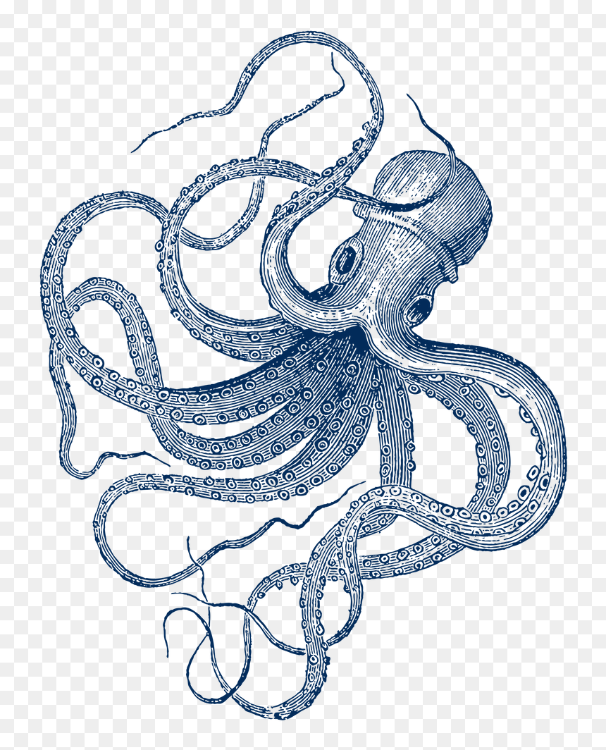 Vintage Octopus Illustration, HD Png Download - octopus tentacles png