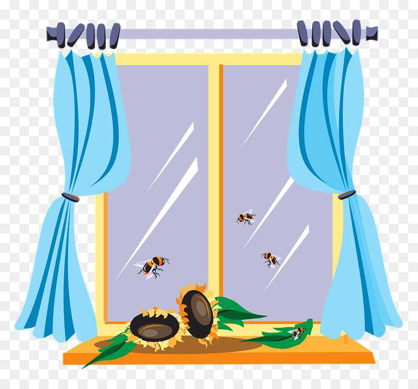 Cartoon Window Clipart , Png Download - Window Clipart, Transparent Png - window vector png