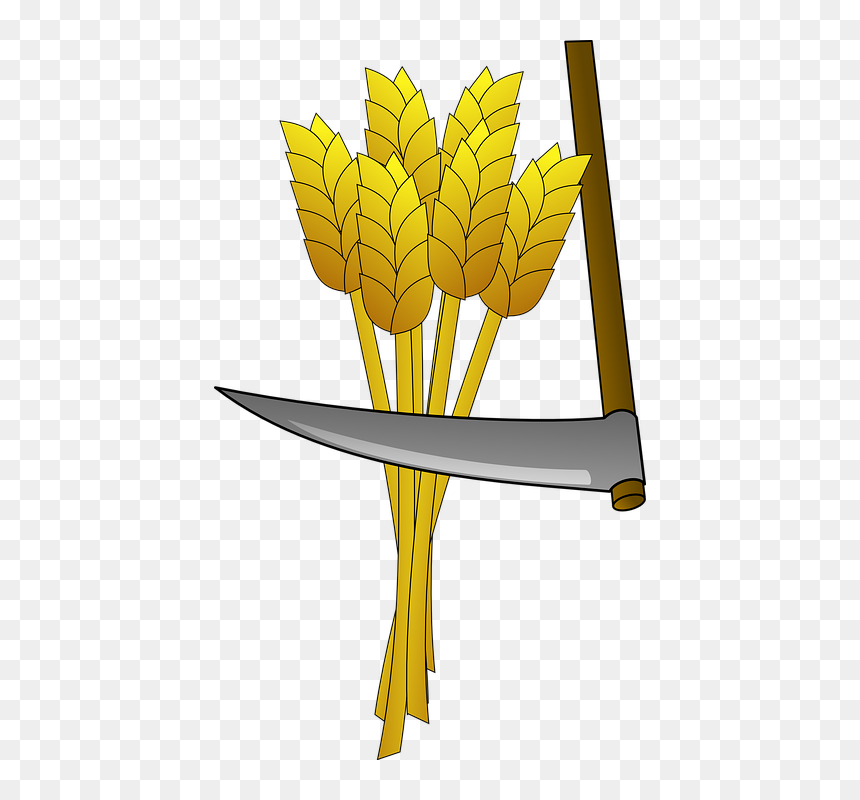Scythe Harvest Png, Transparent Png - wheat vector png