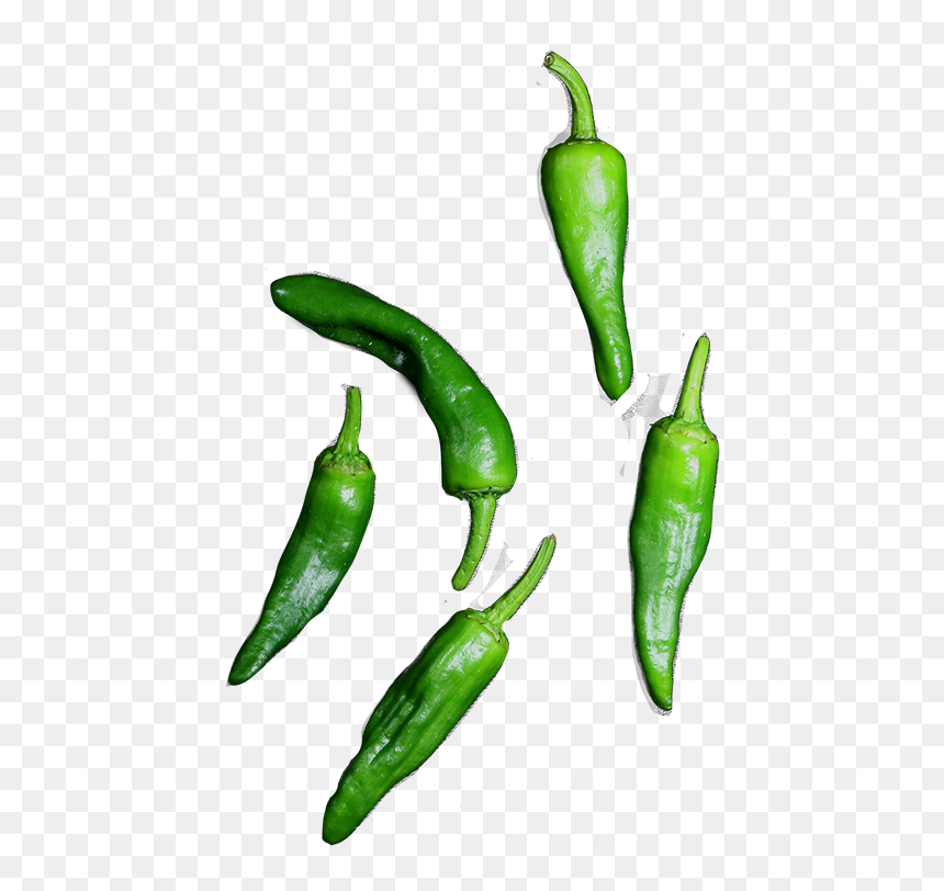 De Pimientos De Padron Zijn De Typisch Spaanse Tapas - Pimientos De Padron Png, Transparent Png - green pepper png