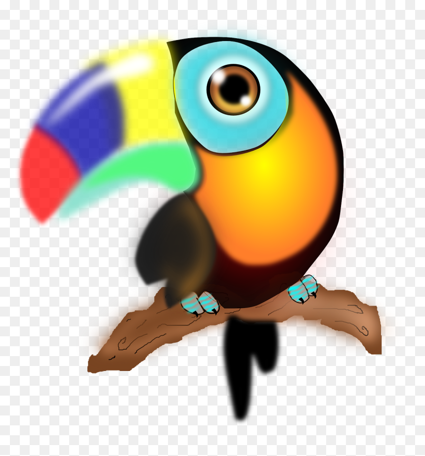 Parrot With Colorful Beak, HD Png Download - tucan png