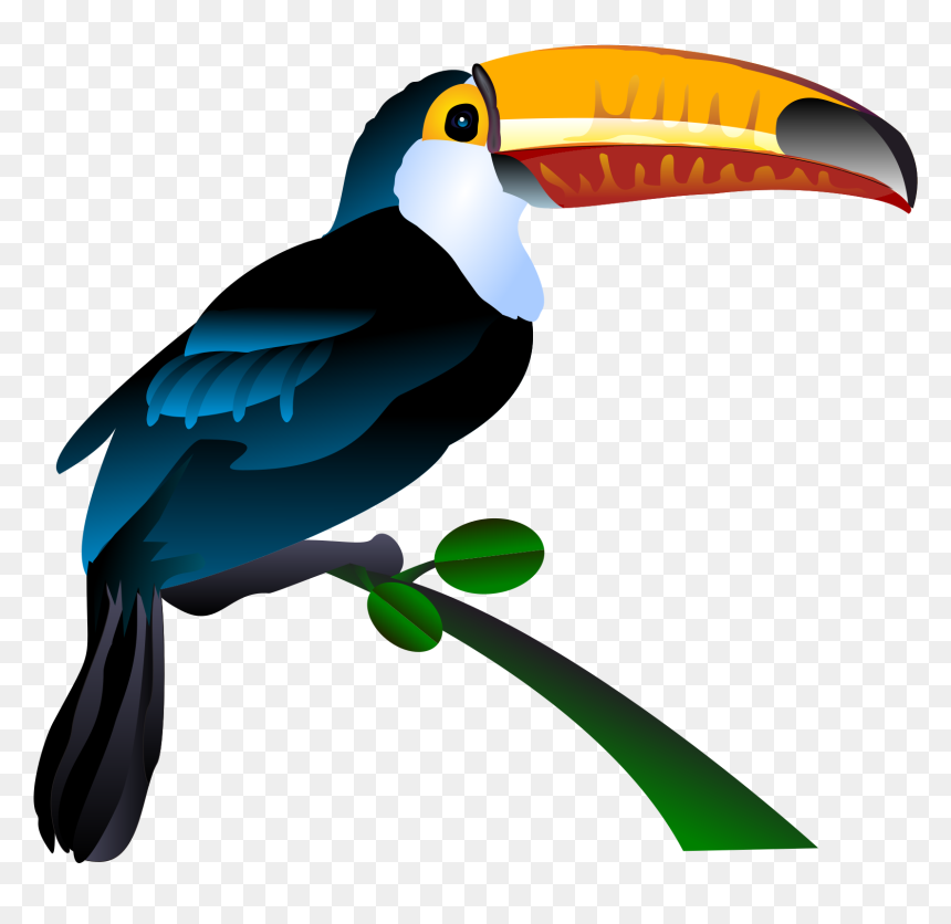 Resultado De Imagem Para - Toucan Vector Art, HD Png Download - tucan png