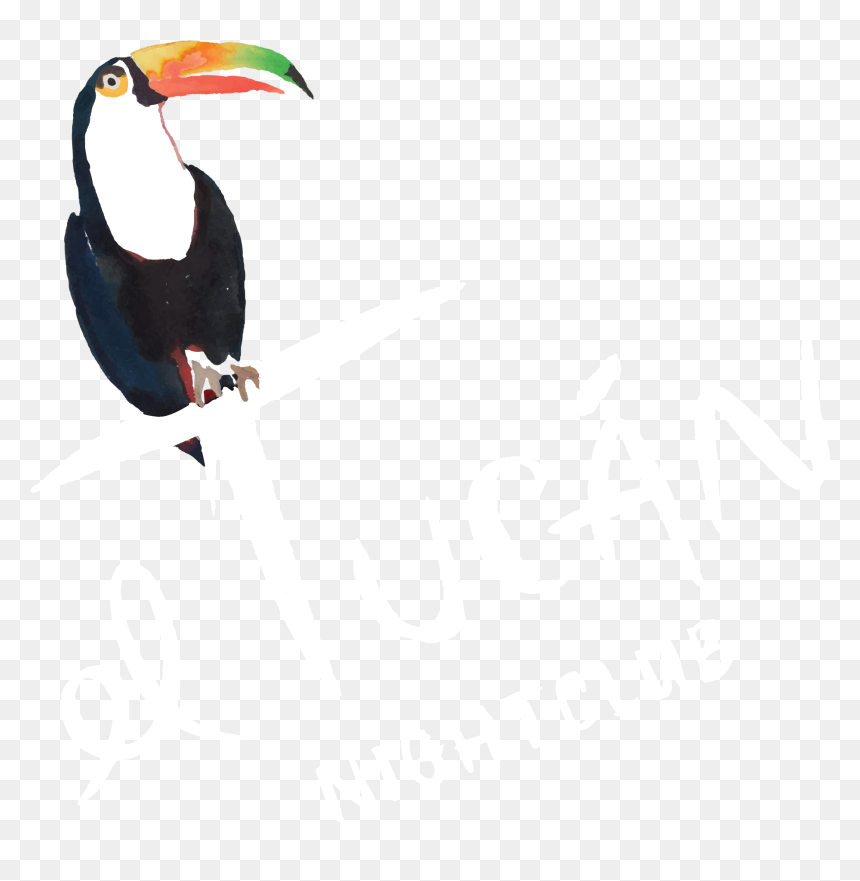 El Tucan Miami , Png Download - El Tucan Miami, Transparent Png - tucan png