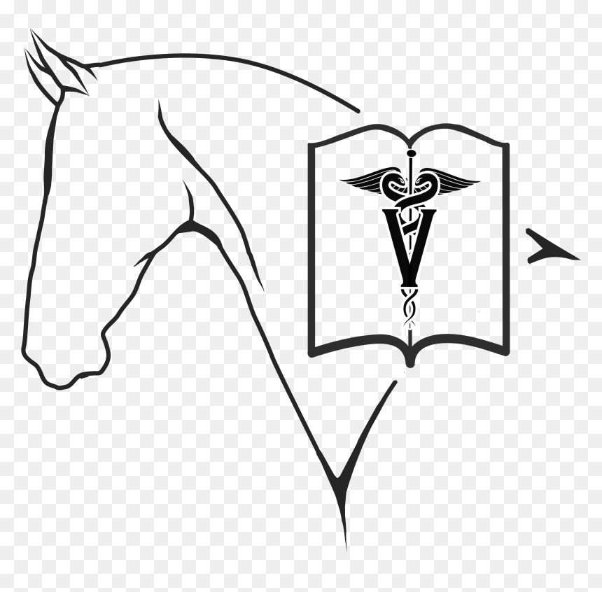 Hvb Logo Png - Vet Book Png, Transparent Png - blue mist png