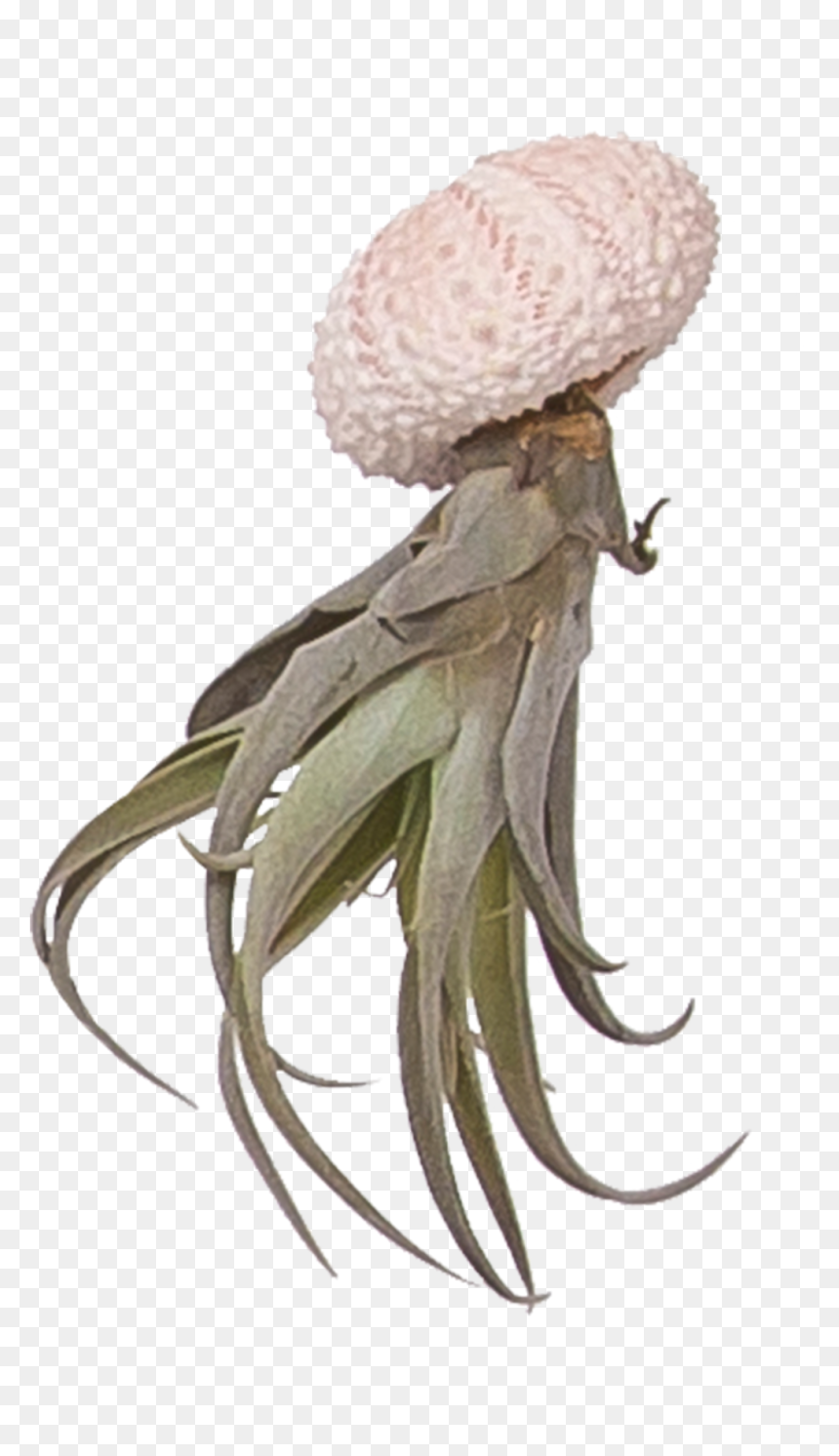 Octopus Tentacles Png, Transparent Png - octopus tentacles png
