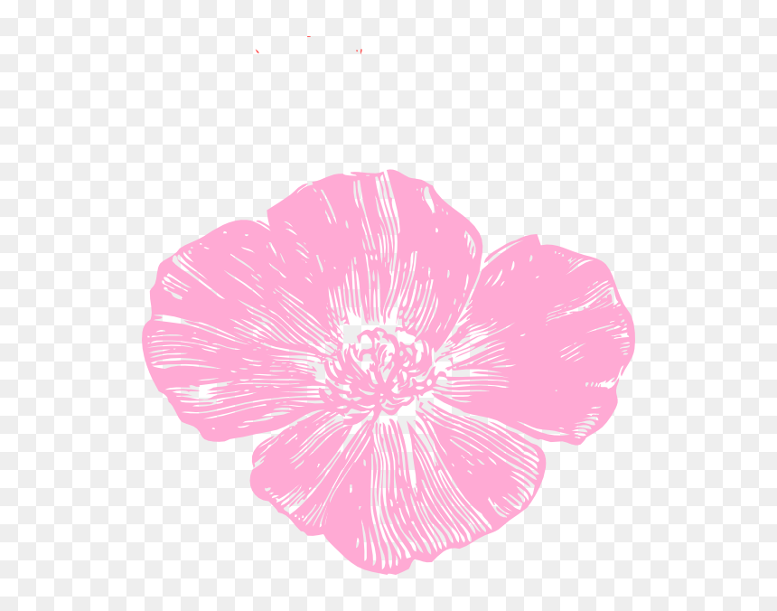 Pink Poppy Clipart, HD Png Download - poppy flower png