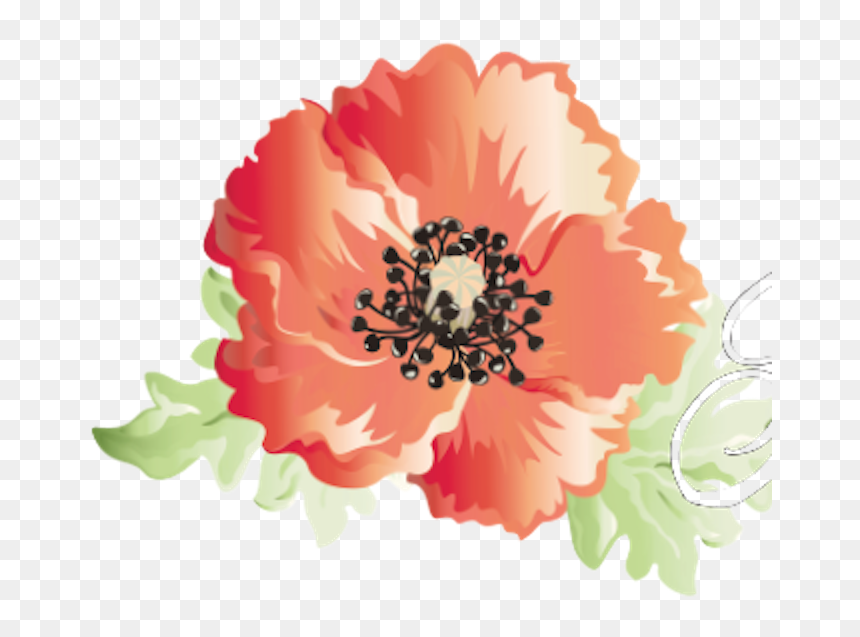 Top Img, Abstract Poppies - Clip Art, HD Png Download - poppy flower png