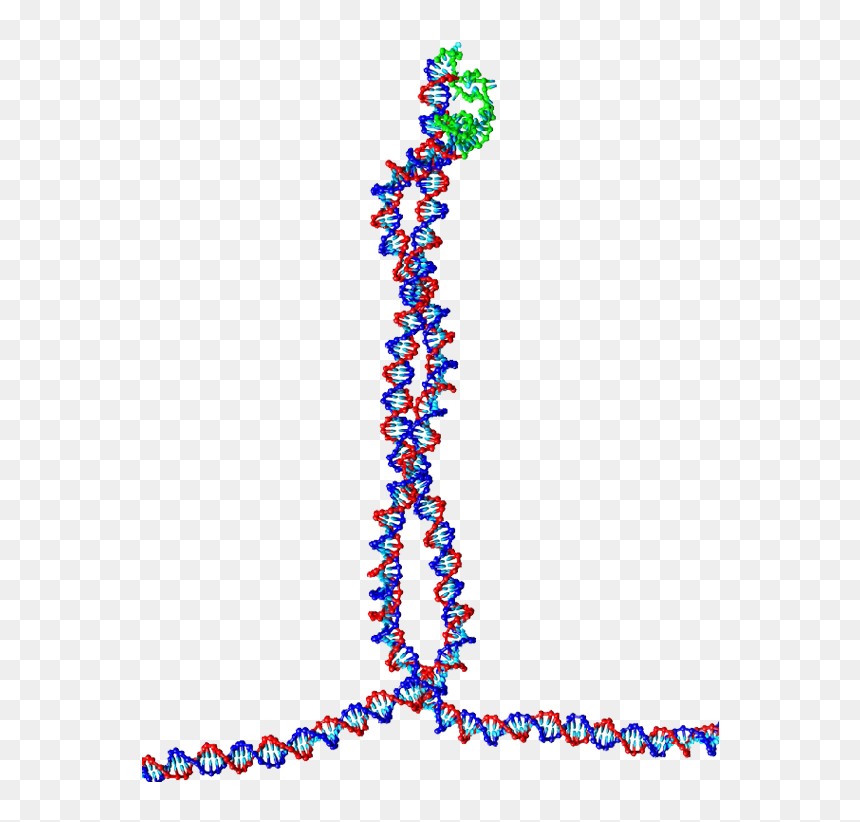 A Tetrahedral Dna Cage As Made By The Group Of Chengde, HD Png Download - double helix png