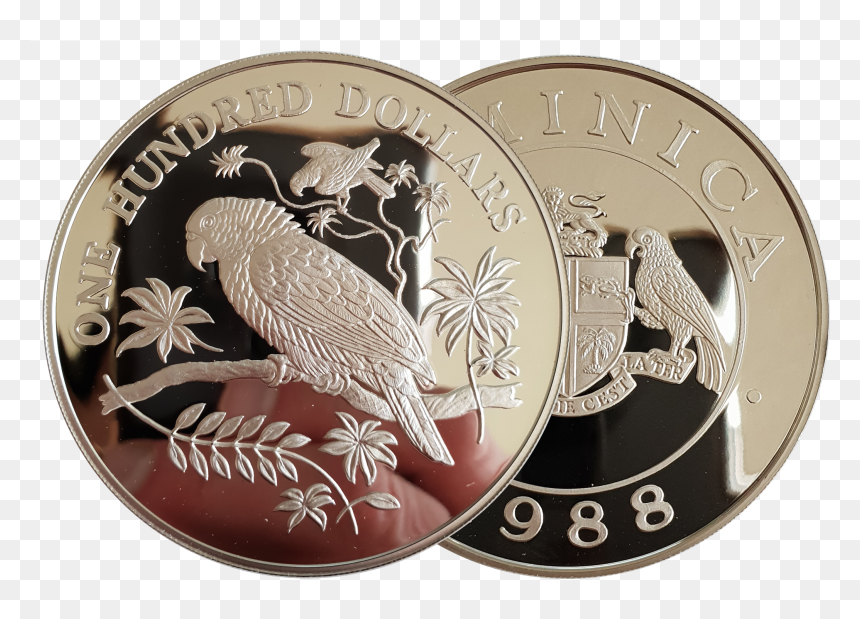 Coin, HD Png Download - 100 dollars png