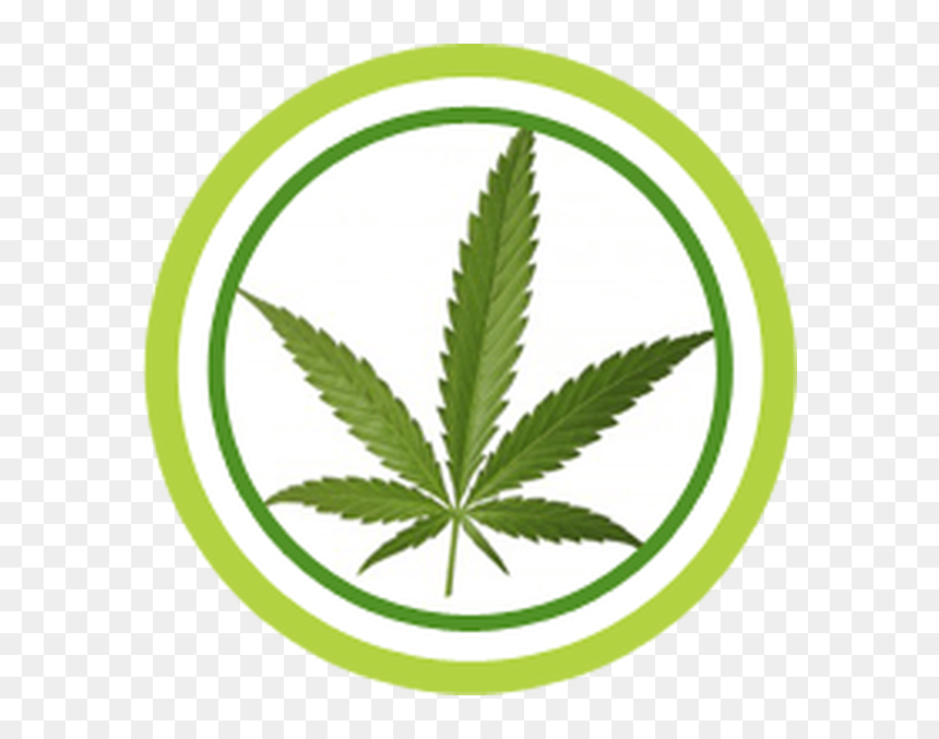 Marijuana Leaf, HD Png Download - pile of weed png