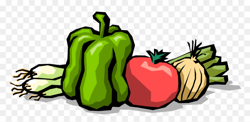 Vector Illustration Of Garden Fresh Vegetables Green - Clermont Farmers Market, HD Png Download - green pepper png