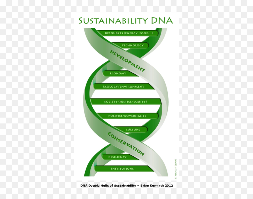 Graphic Design, HD Png Download - double helix png