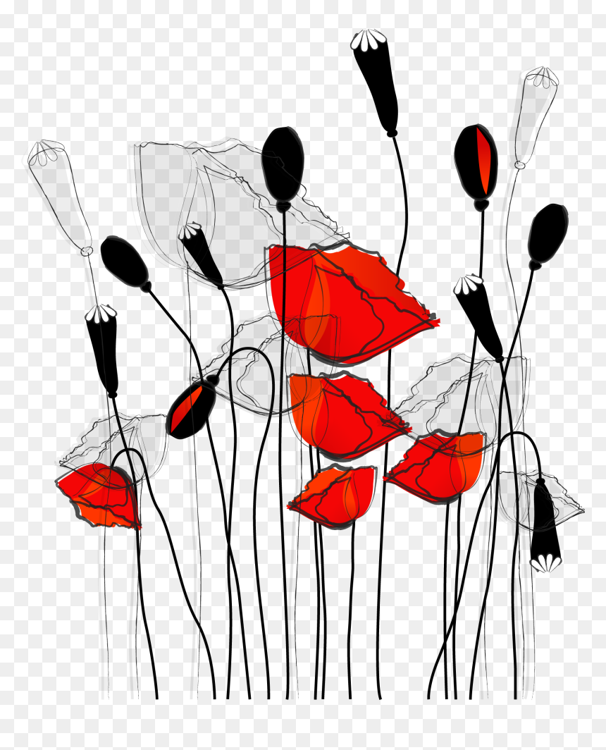 Common Poppy Curtain Flower Wallpaper Line Illustration - Vinilos Para Vidrios, HD Png Download - poppy flower png