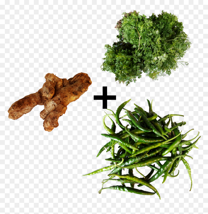 Coriander Leaves Green Chili Ginger Combo Fsale Order - Leaf Vegetable, HD Png Download - green pepper png