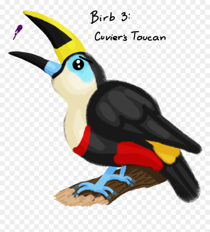 Collection Of Free Birds Download On Ubisafe - Toucan, HD Png Download - tucan png