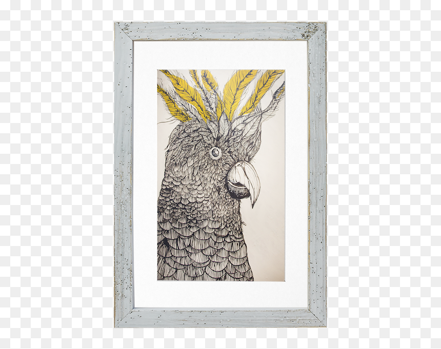 Picture Frame, HD Png Download - rustic frame png