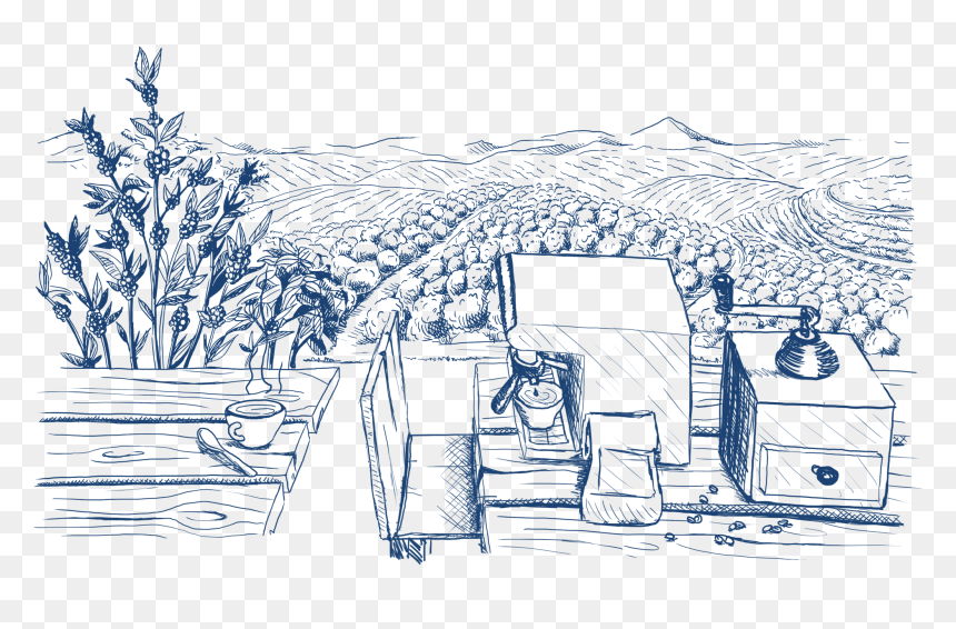 Sketch, HD Png Download - barista png