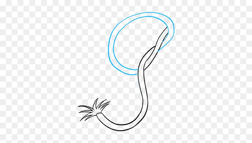 How To Draw Rope - Line Art, HD Png Download - rope texture png