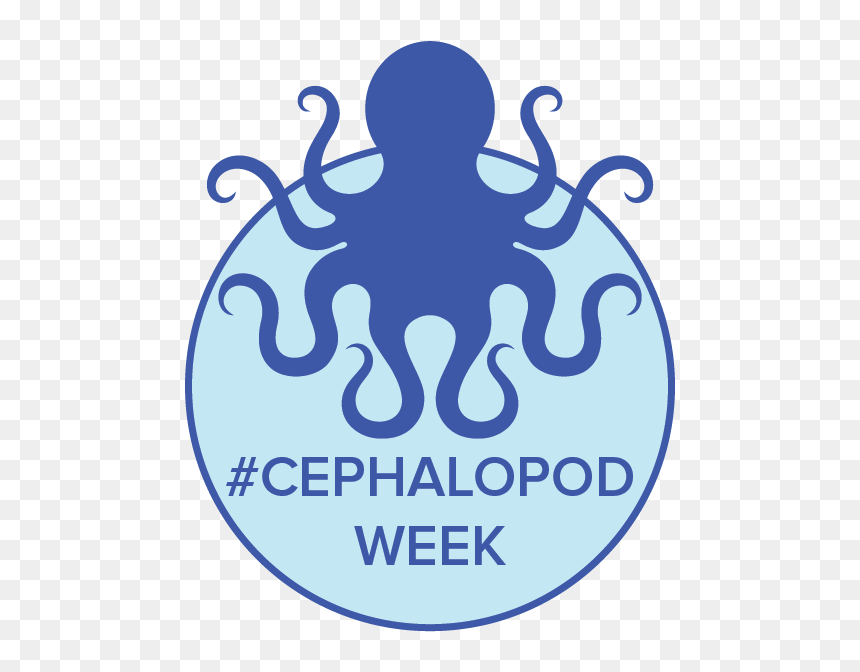 Please Do Not Taunt The Octopus, HD Png Download - octopus tentacles png