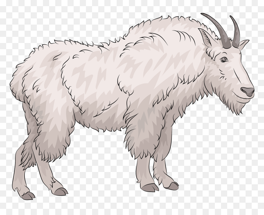 Mountain Goat Clipart, HD Png Download - goat face png