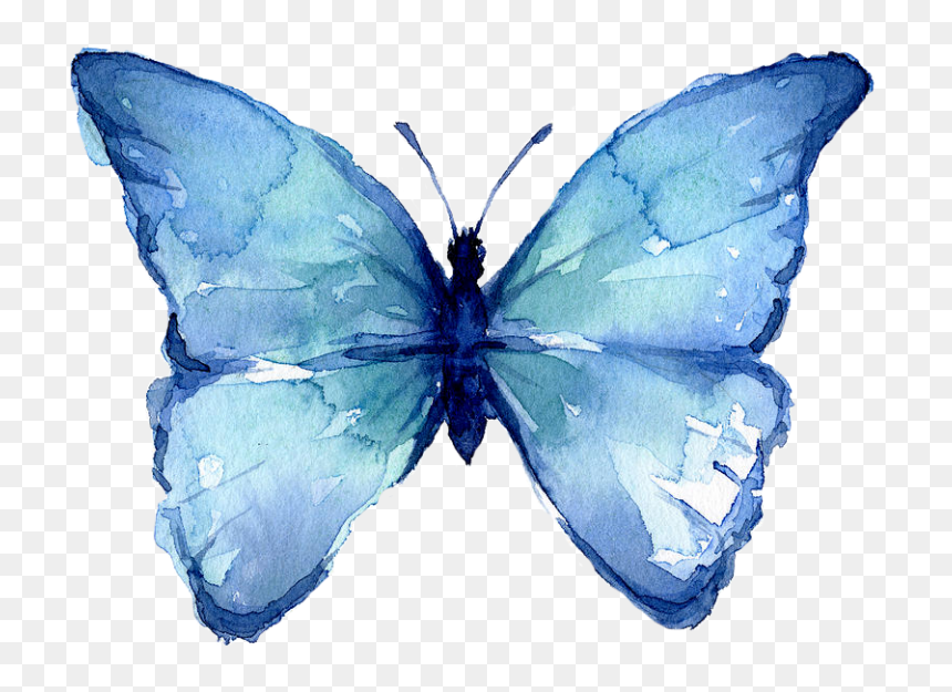 Butterfly Watercolor Art Png Photos - Watercolor Painting Easy Butterfly, Transparent Png - green watercolor png