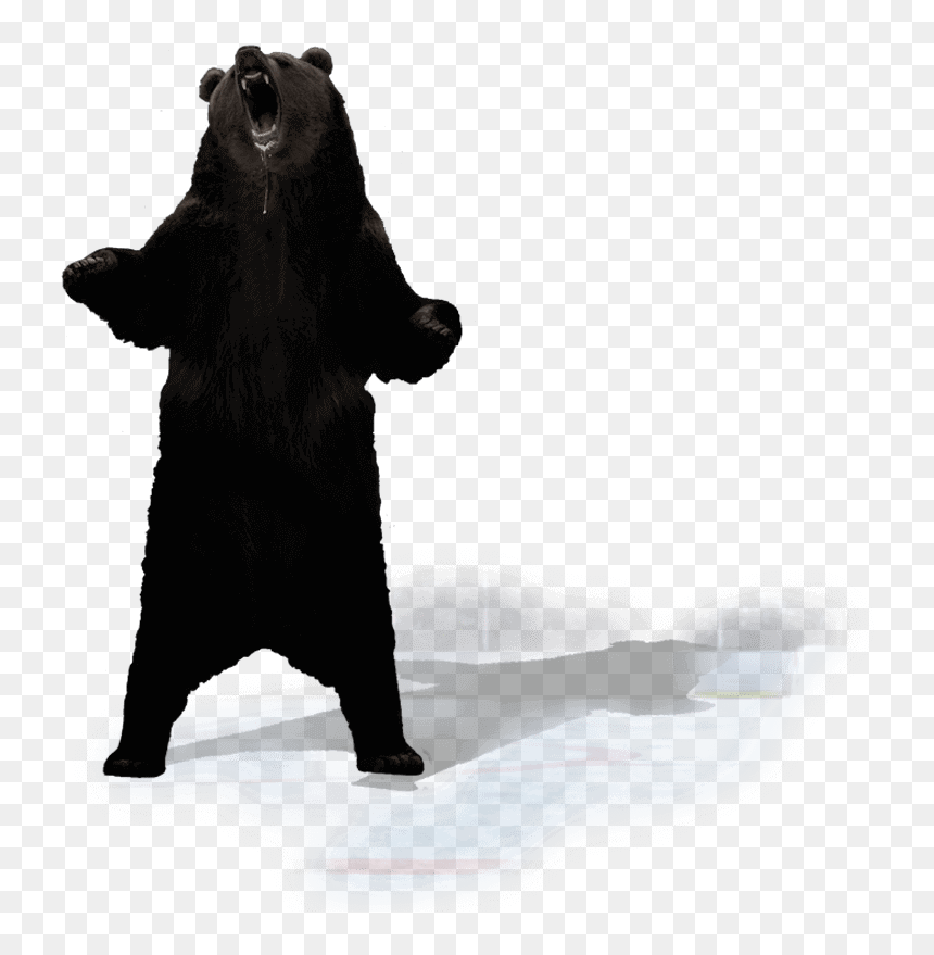Shoulder Silhouette White - Punxsutawney Phil, HD Png Download - standing bear png