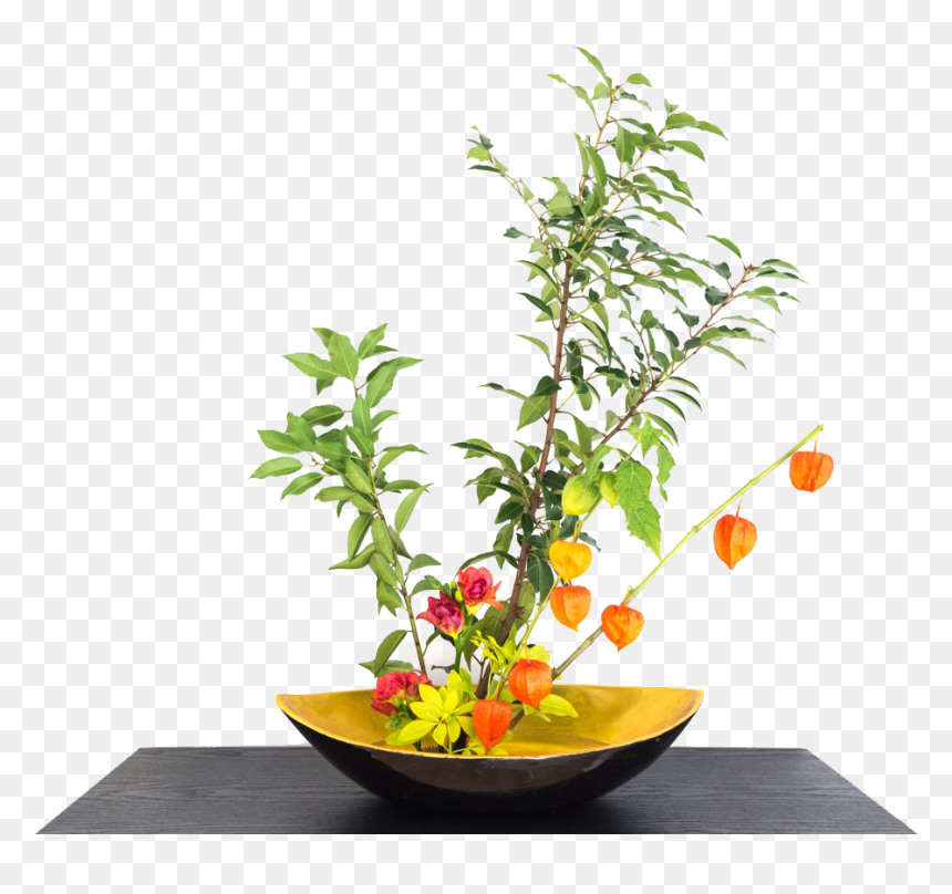 Chinese Lantern Plant Indoors , Png Download - 秋 生け花, Transparent Png - chinese lantern png