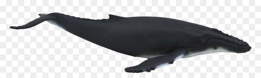 Animal Planet Mojo Humpback Whale, HD Png Download - humpback whale png
