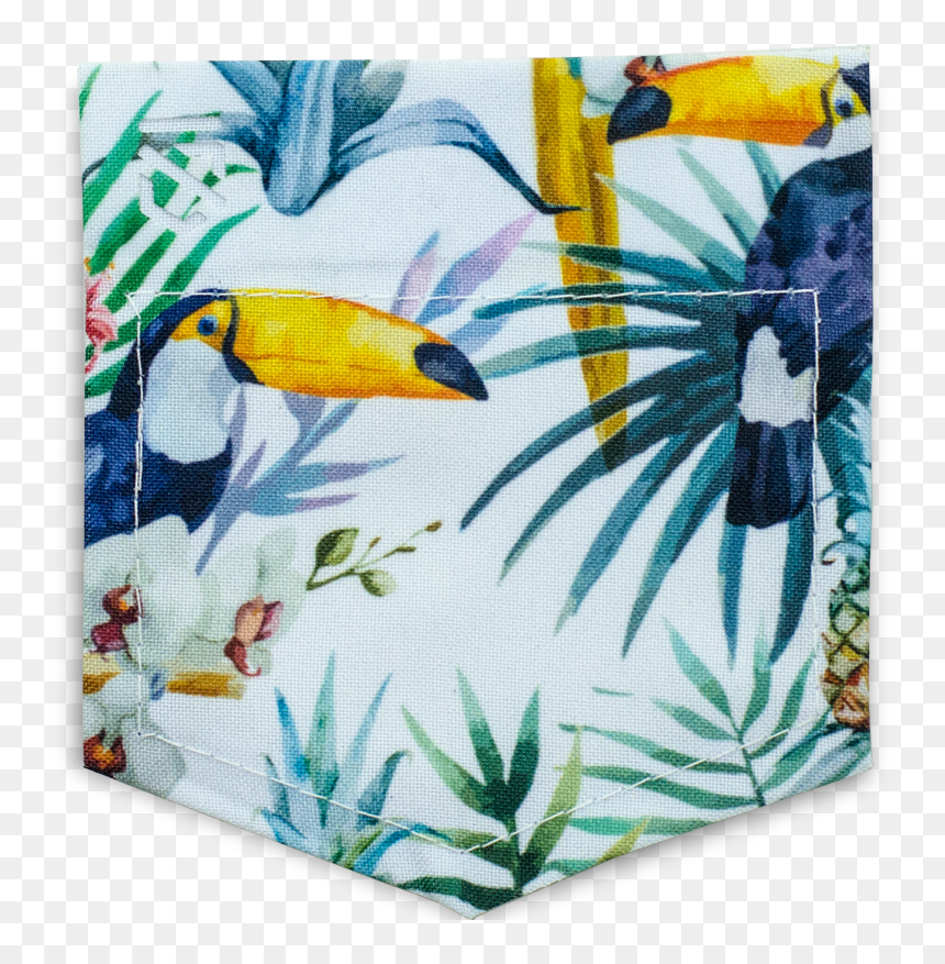 Bullet Journal Beyond The Soul , Png Download - Ixxi Toucan, Transparent Png - tucan png