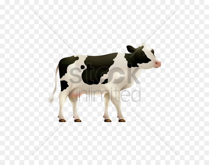 Transparent Calf Clipart - Dairy Cow, HD Png Download - cow vector png