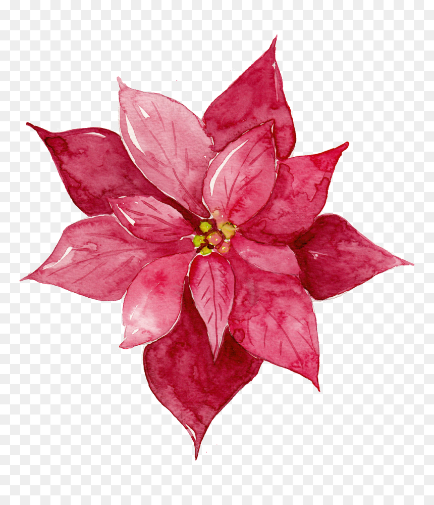 This Graphics Is Red Watercolor Flowers Free Matting - Maroon Flower Watercolor, HD Png Download - free watercolor flowers png