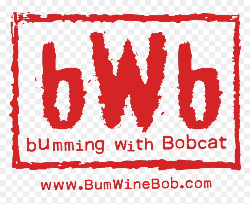 Keep The Drinks Flowing Every Monday Night At 10pm - New World Order, HD Png Download - nwo logo png