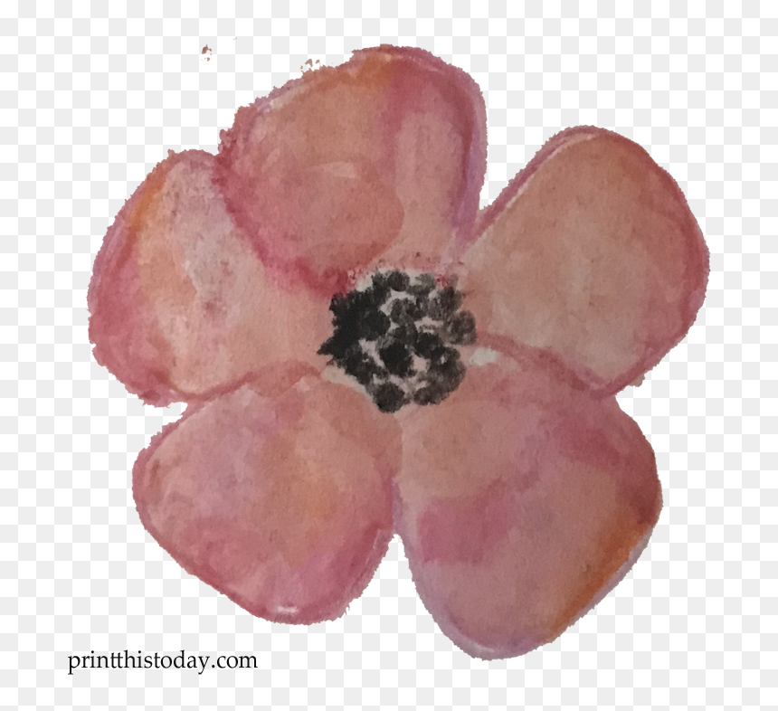 Watercolor Flower Clipart Free, HD Png Download - free watercolor flowers png