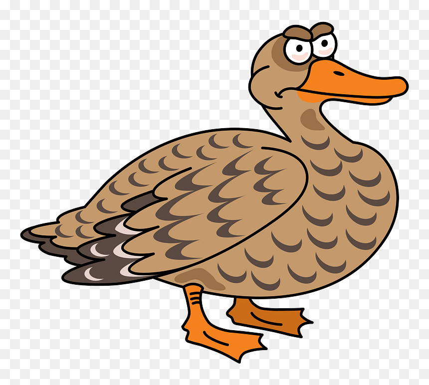 Duck Clipart, HD Png Download - duck clipart png
