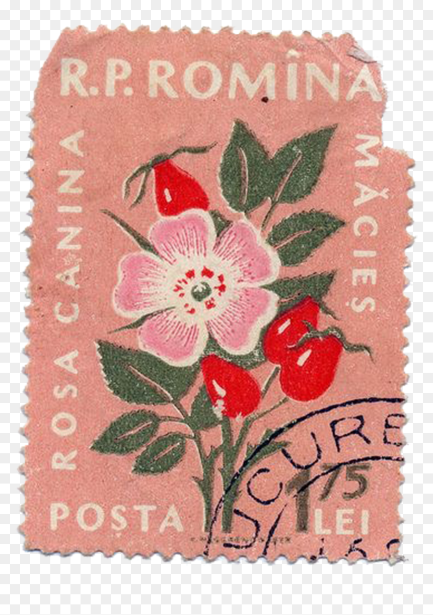 #stamp #vintagestamp #oldstamp #flower #flowers - Vintage Floral Postage Stamp, HD Png Download - flower bushes png