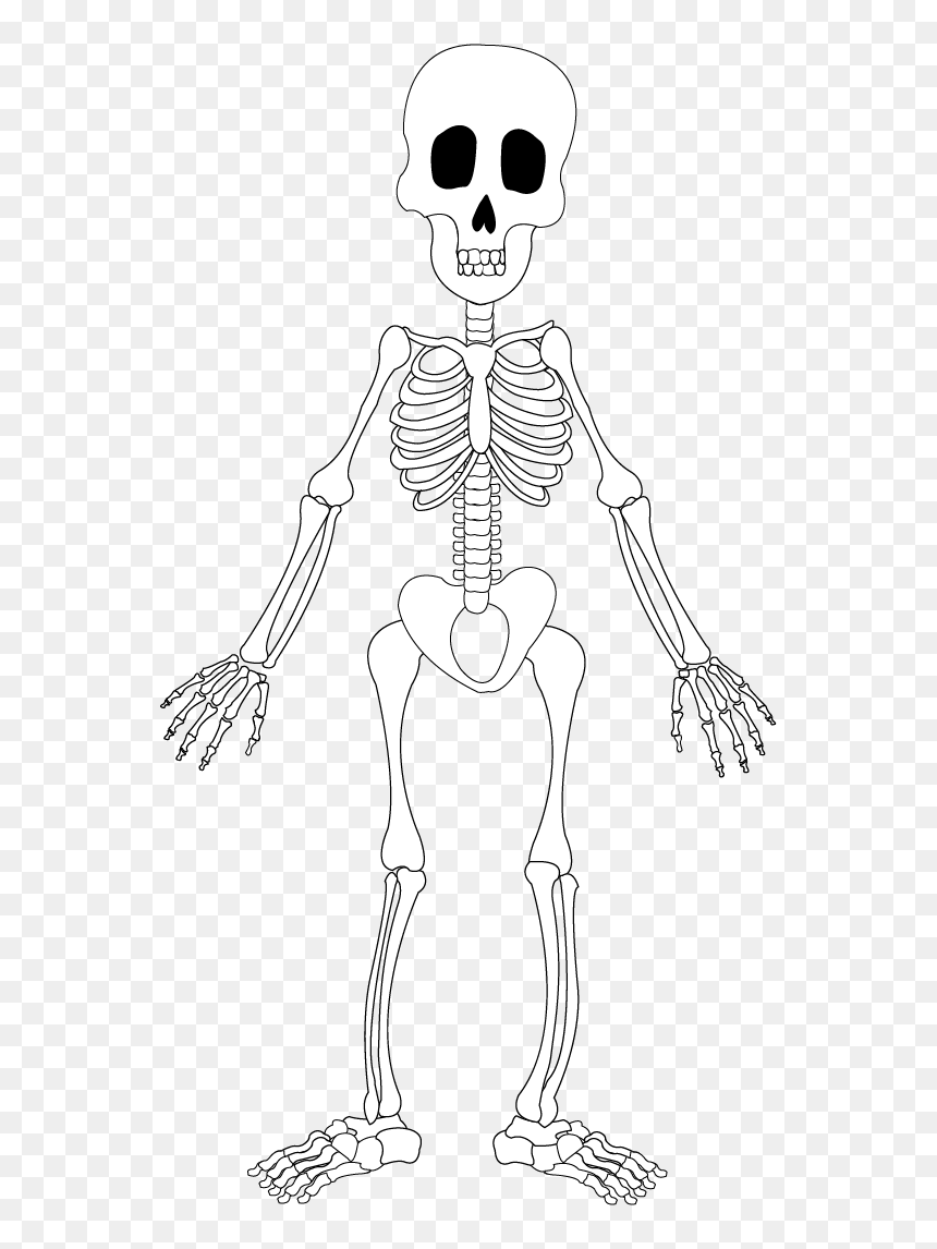 Line Art, HD Png Download - skeleton arm png