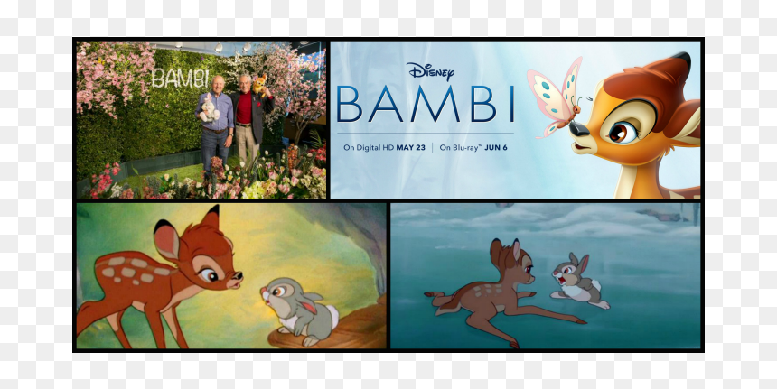 Cartoon, HD Png Download - thumper png