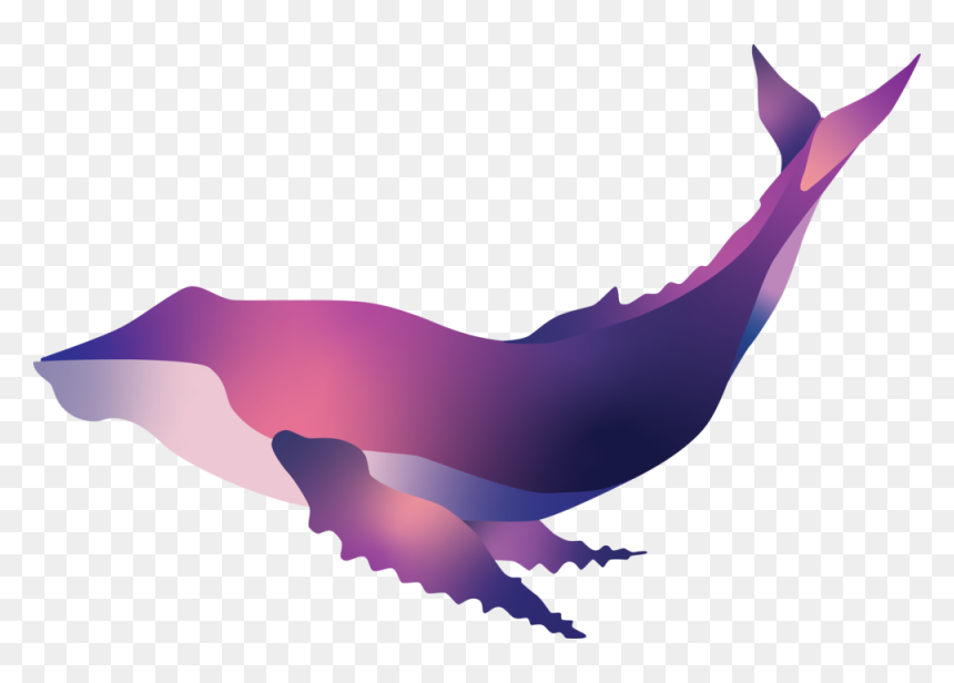 Illustration, HD Png Download - humpback whale png
