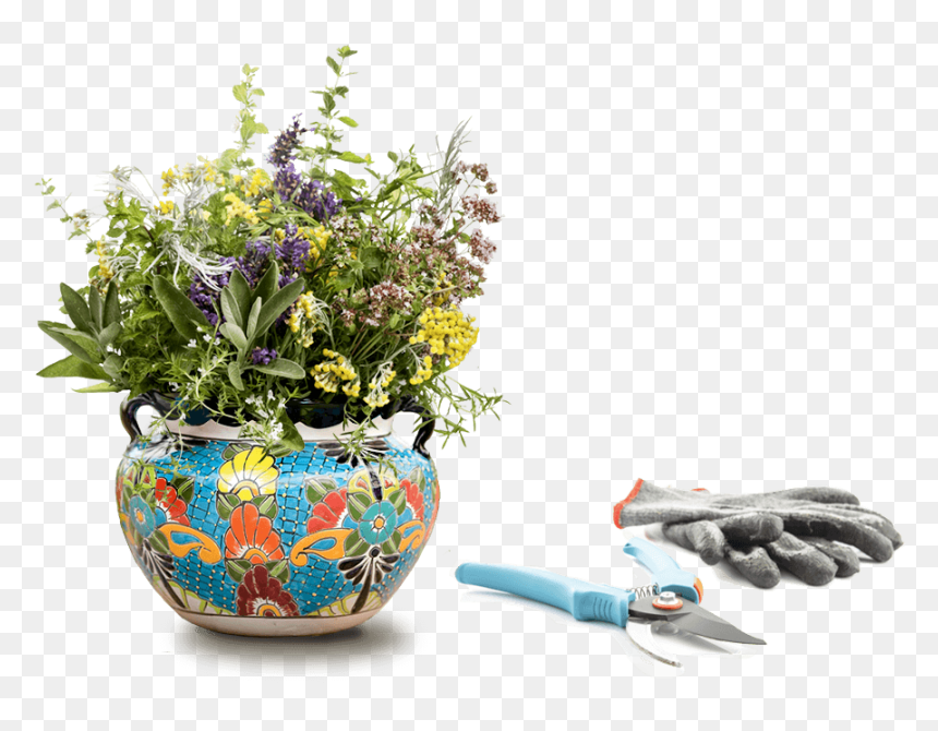 Flowerpot, HD Png Download - flower bushes png