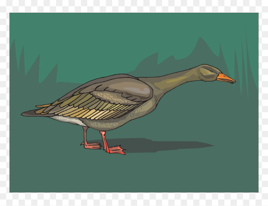 Goose, HD Png Download - duck clipart png