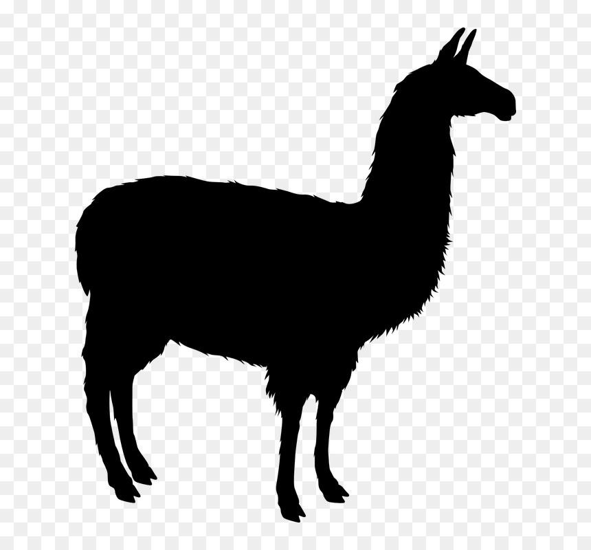 Thumb Image - Llama Silhouette Png, Transparent Png - llamas png