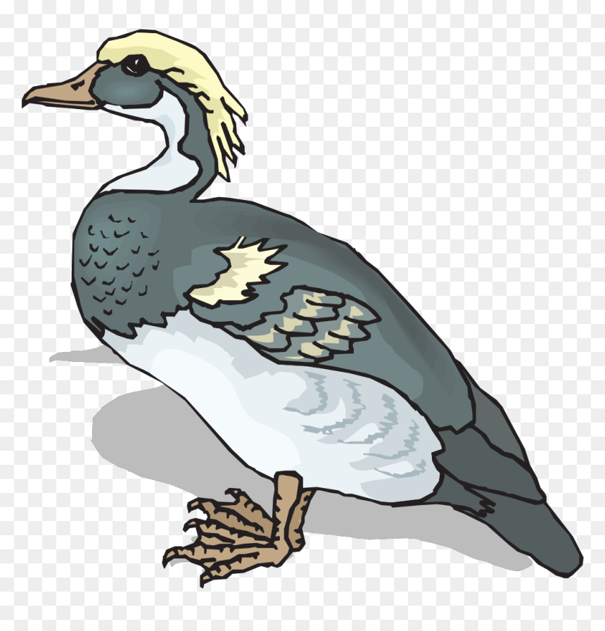 Clip Art, HD Png Download - duck clipart png