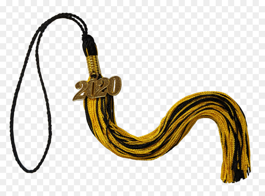 National Museum Of Visual Arts, HD Png Download - graduation tassel png