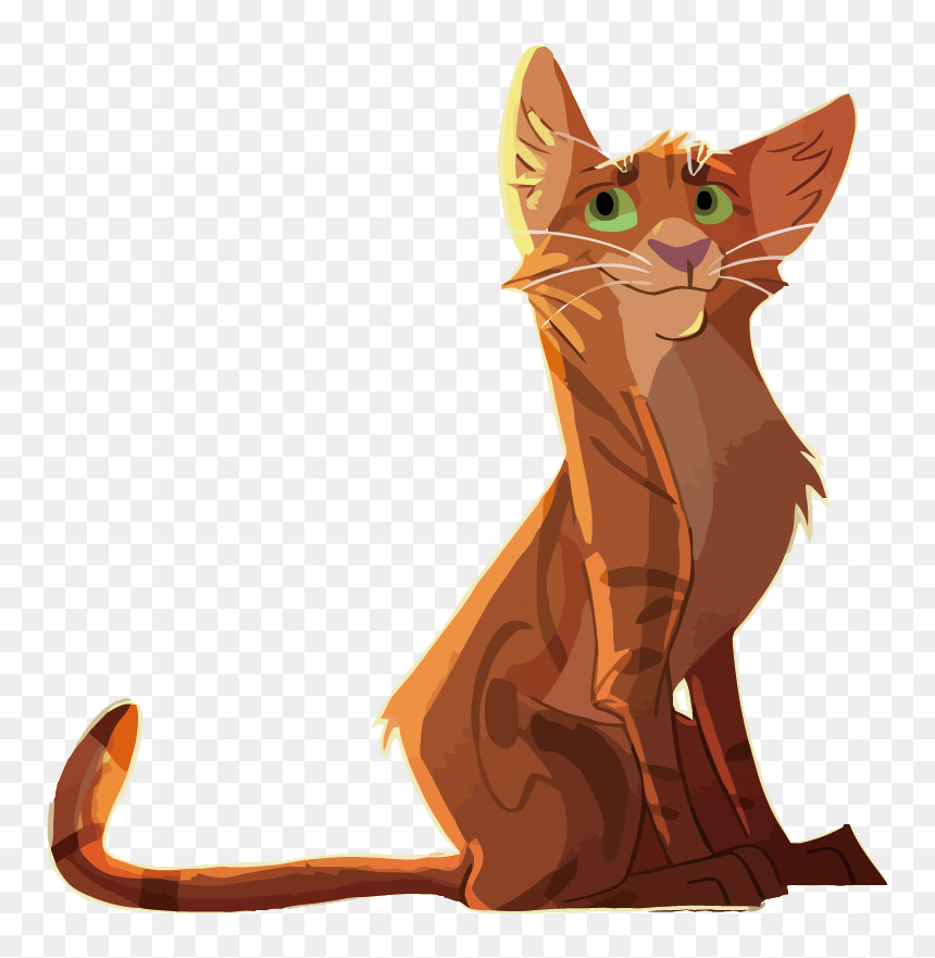 Kitten Whiskers Cat Illustration - Cat, HD Png Download - orange cat png