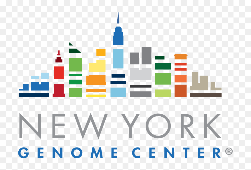 New York Genome Center, HD Png Download - ny skyline png