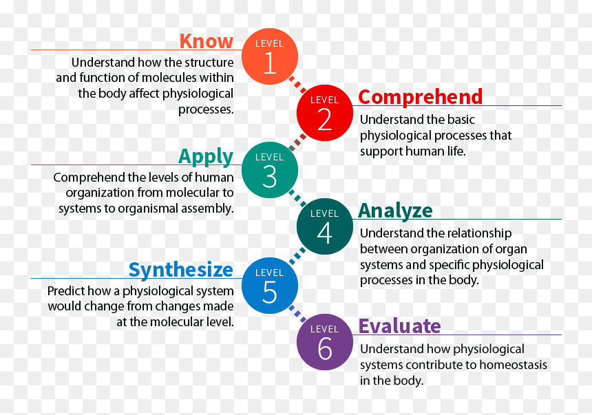 Bloom's Taxonomy, HD Png Download - objectives png