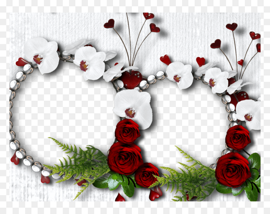 Rose Flower Photo Frame Downloading, HD Png Download - molduras png para varias fotos