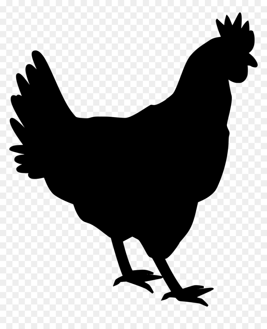 White Chicken Silhouette Png, Transparent Png - chicken vector png