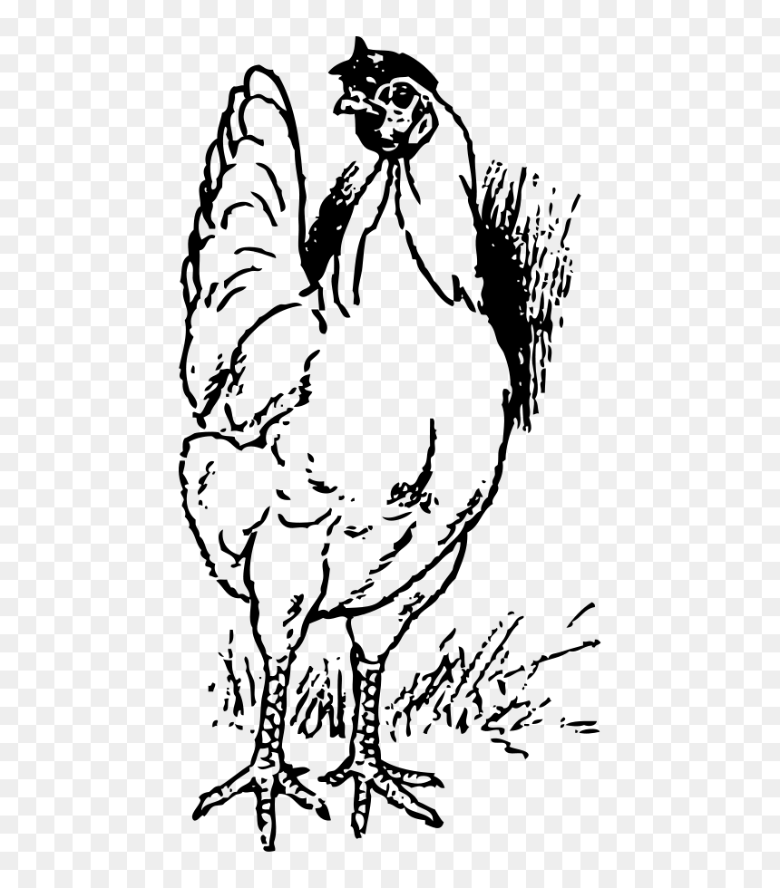 Chicken Head Vector Paintings, HD Png Download - chicken vector png