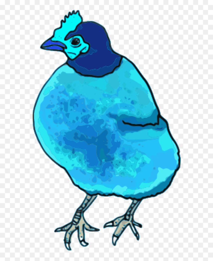 Clip Art, HD Png Download - chicken vector png